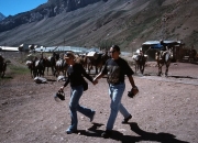 Aconcagua10065