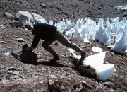 Aconcagua20065