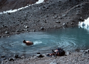 Aconcagua20077