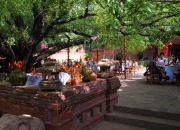 burma2-011