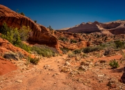 Ausgetrocknetes Flußbett vor der Buckskin Gulch