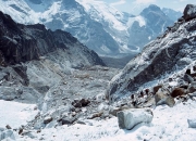 Nepal30042
