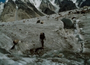 Pakistan60021