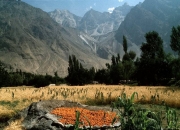 Pakistan00053