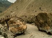 Pakistan30021