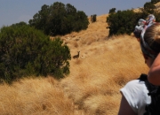 ethio_03-04-2013_09-15-47