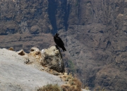 ethio_03-04-2013_11-01-46