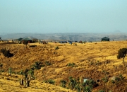 ethio_04-04-2013_05-26-59