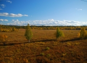 TS 14.09.2009 09-46-00.2009 09-46-1