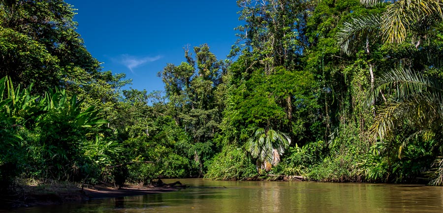 Der Fluss durch den Dschungel