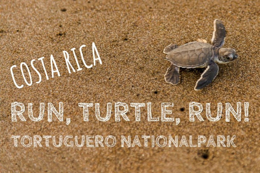 Tortuguero Banner